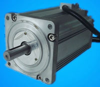 2200W123 Permanent Magnetic Alternators